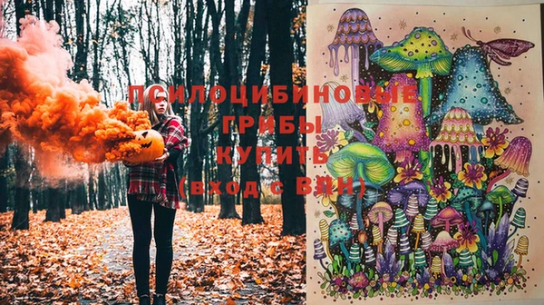прущие грибы Белоозёрский