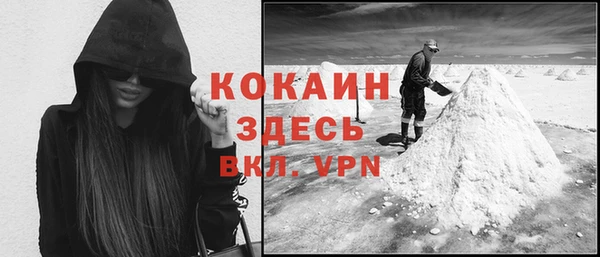 прущие грибы Белоозёрский
